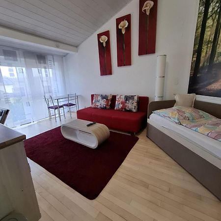 ביטגהיים - ביסינגן Exclusive Apartments מראה חיצוני תמונה